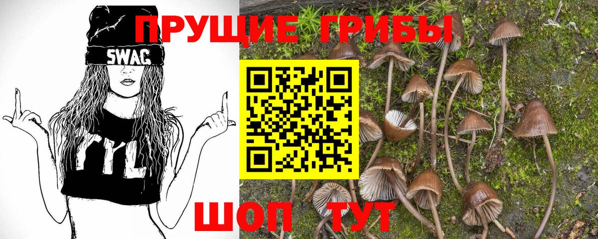 Глазов  Галлюциногенные грибы MAGIC MUSHROOMS  Вход с VPN 